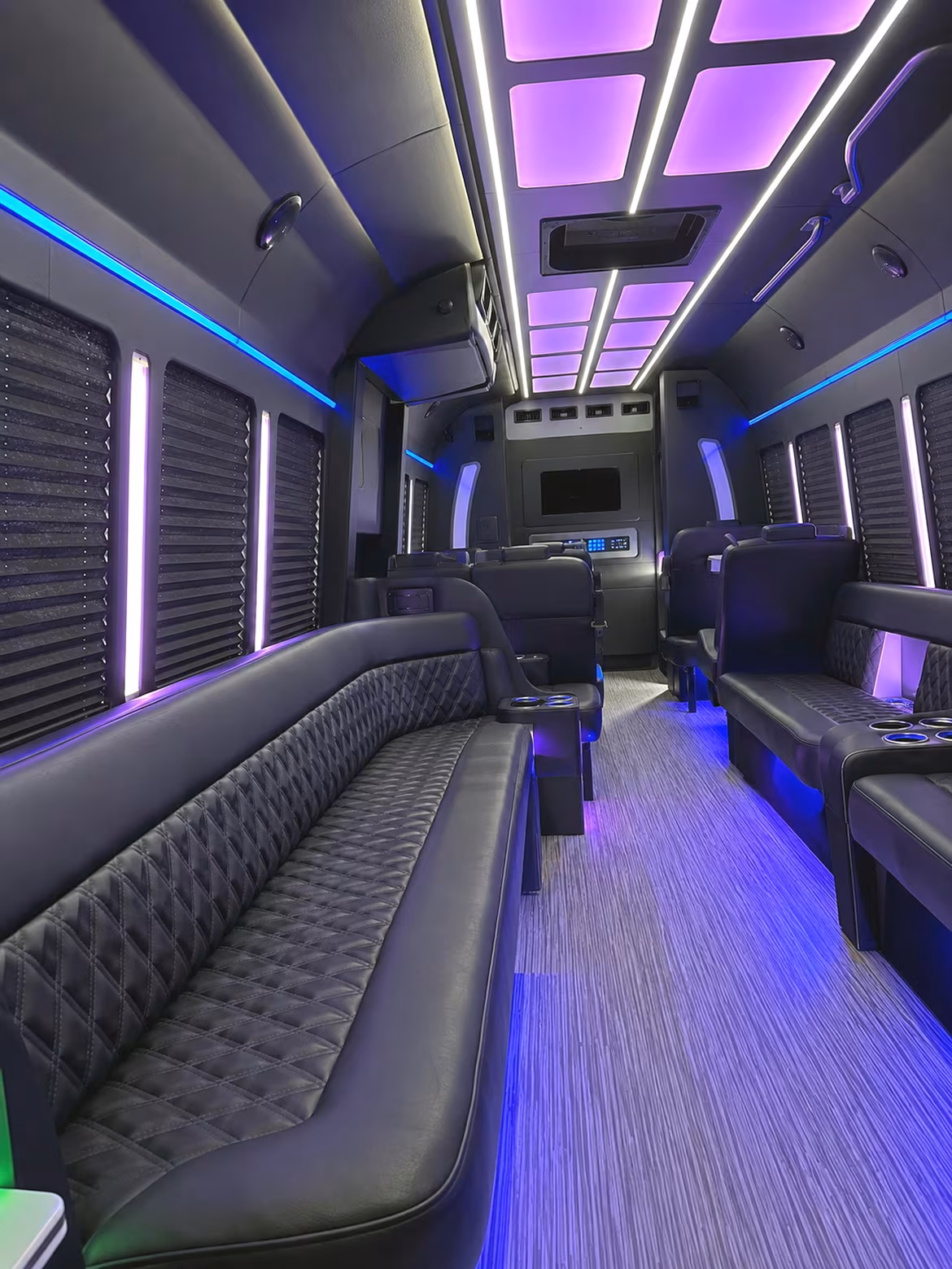 south fulton birthday party bus rental