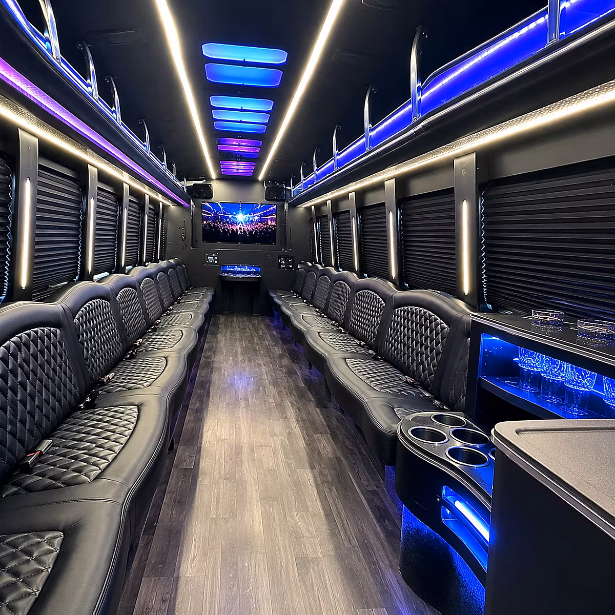 south fulton party bus rentals inside